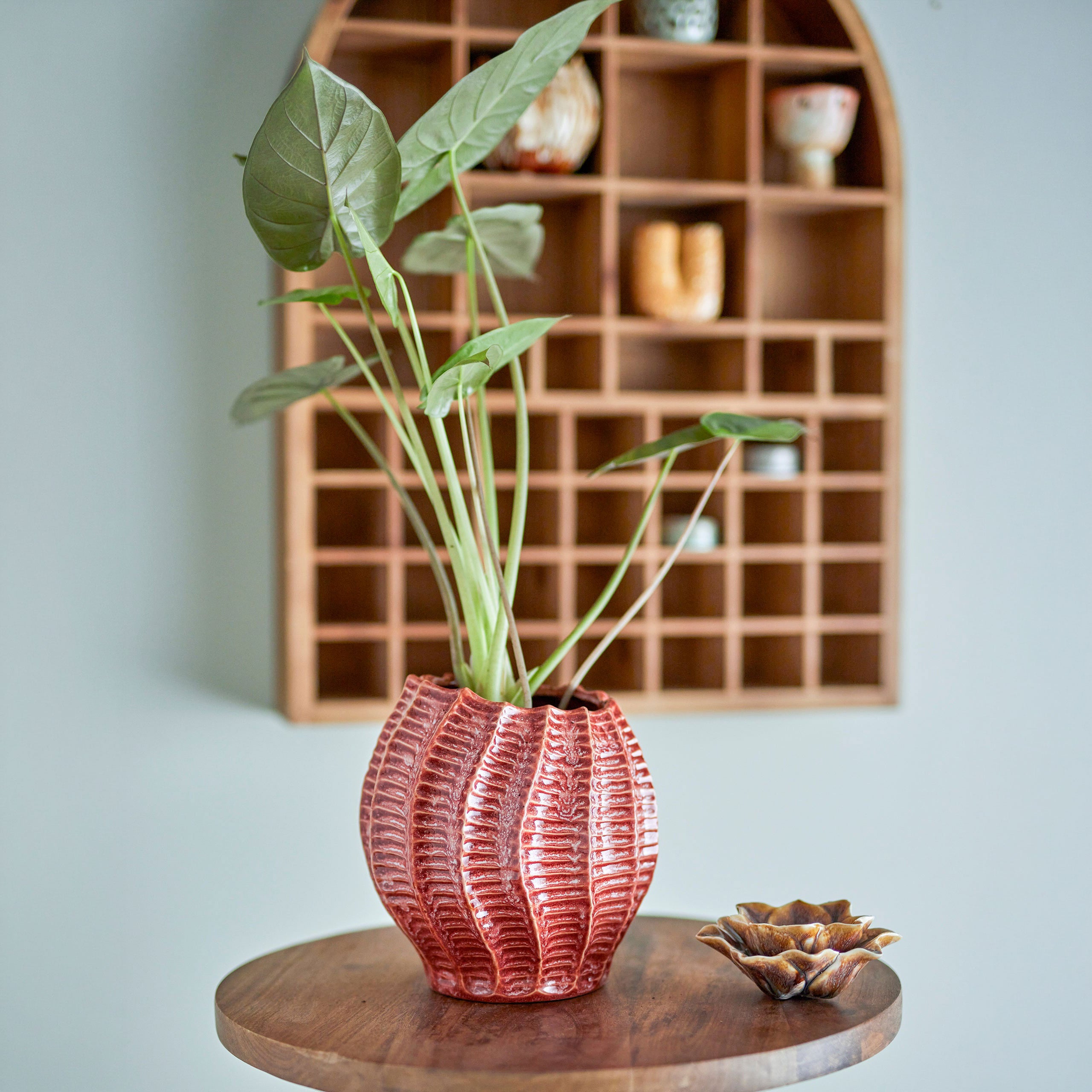 Jarra Decorativa CALLON Rosa – imagem 2