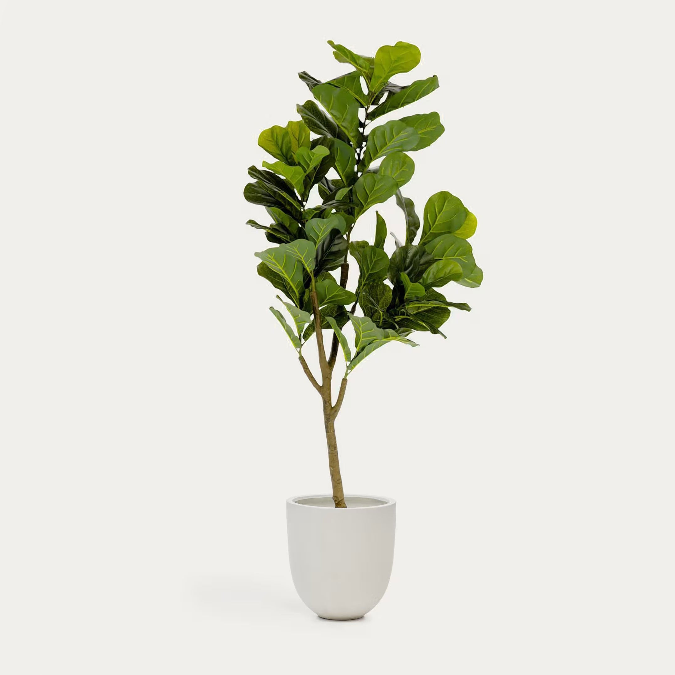 Árvore artificial Ficus 150 cm em vaso decorativo