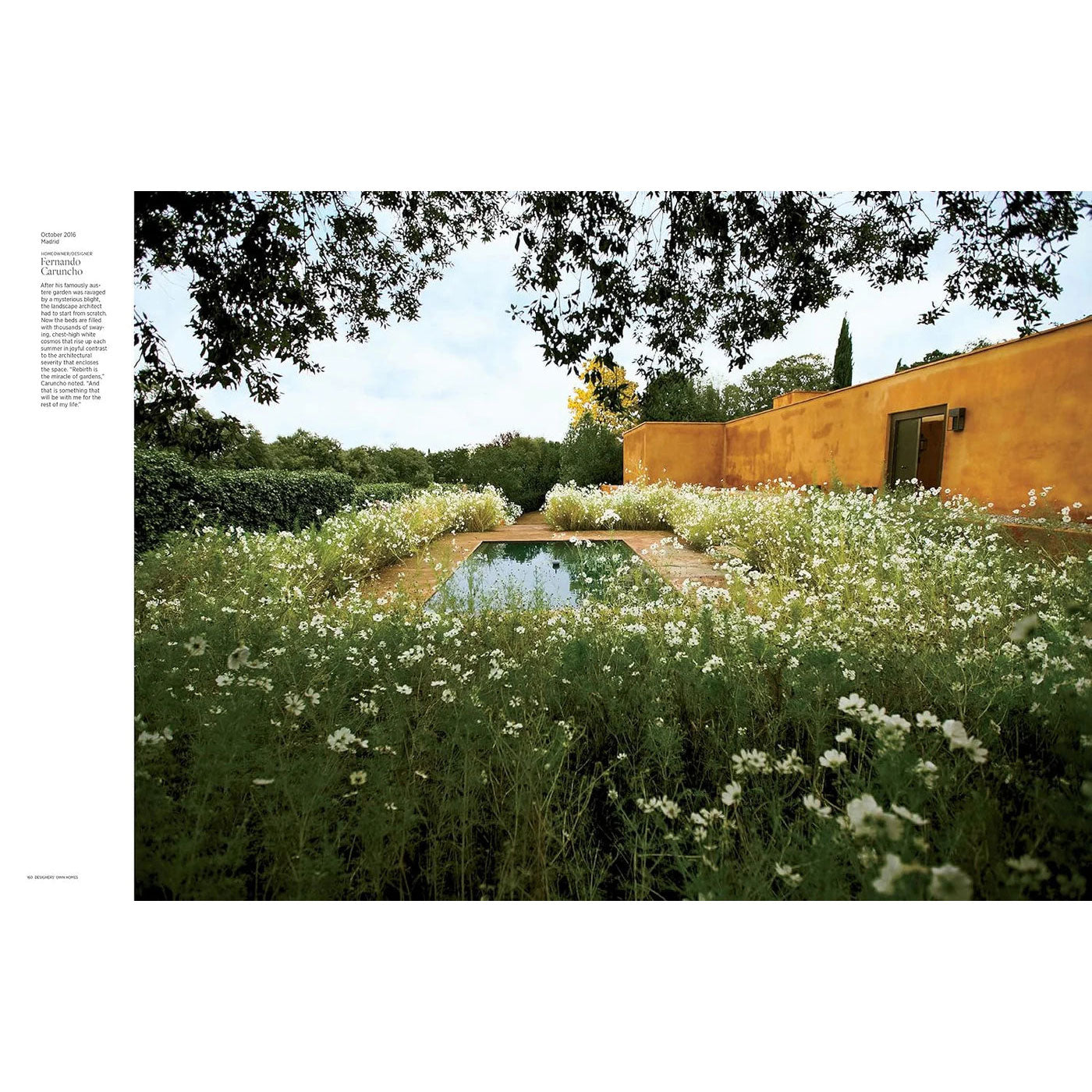 Livro Decorativo Architectural Digest at 100 – imagem 3