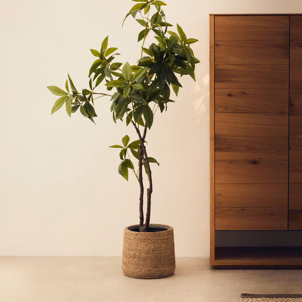 Árvore Artificial Pachira 180 cm verde