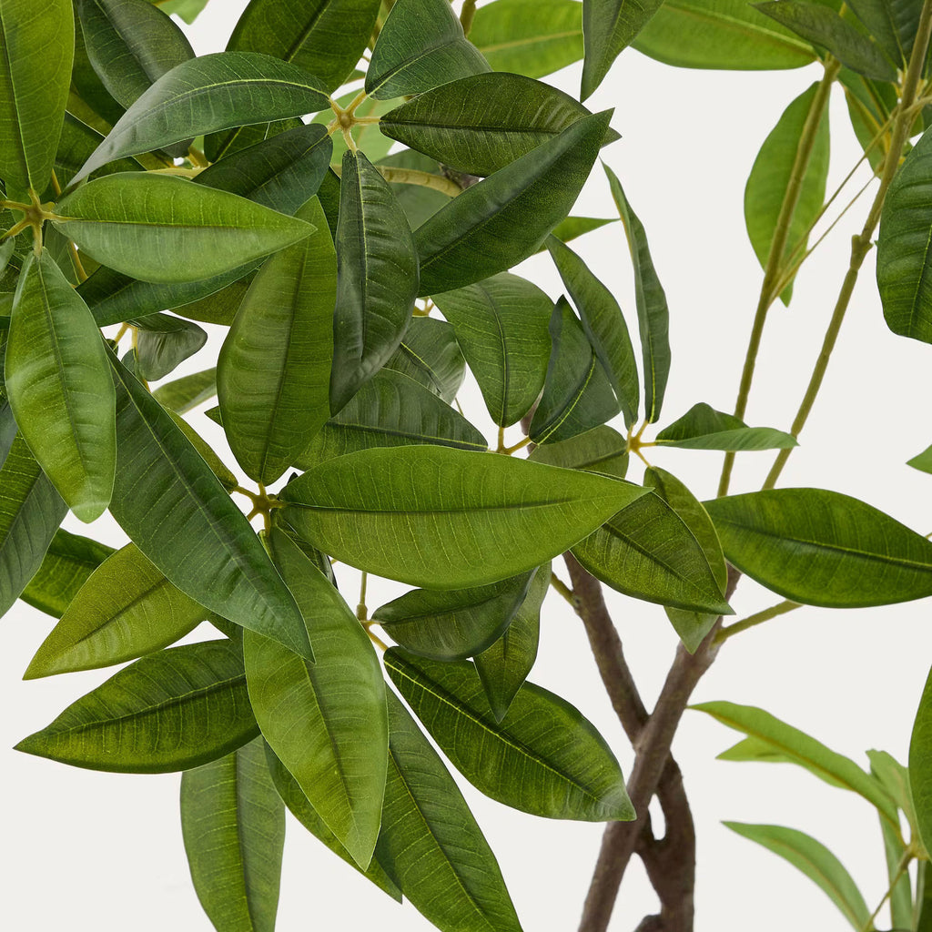 Árvore Artificial Pachira 180 cm verde – imagem 2