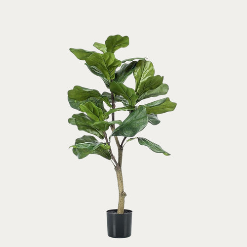 Árvore Artificial Ficus Lyrata verde