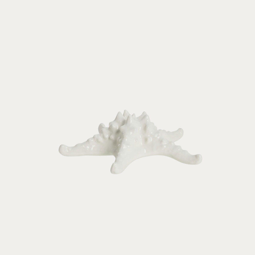 Decoração SHELLILLE com textura natural em concha