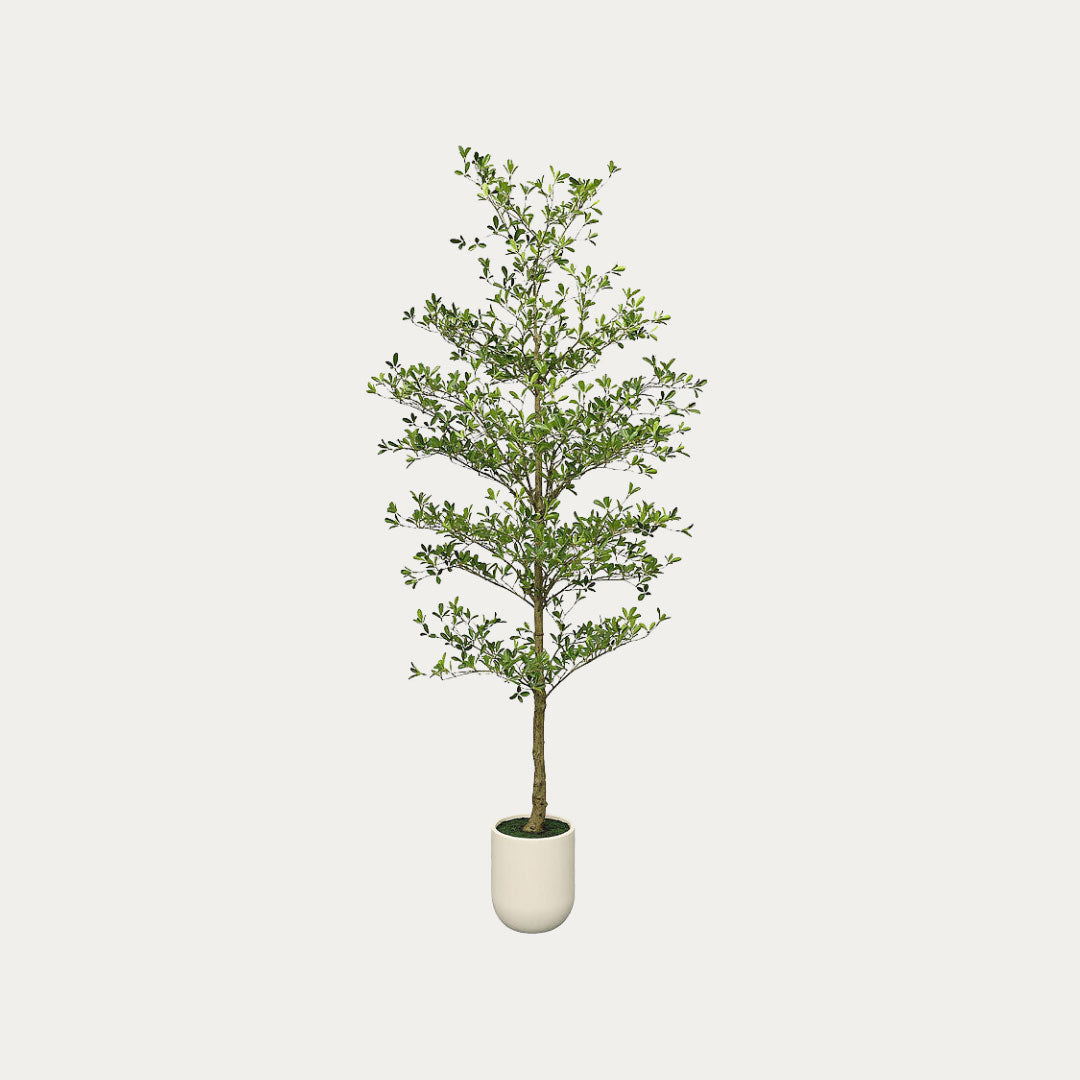 Árvore artificial Bucida Buceras com vaso decorativo