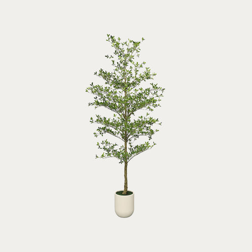 Árvore artificial Bucida Buceras com vaso decorativo