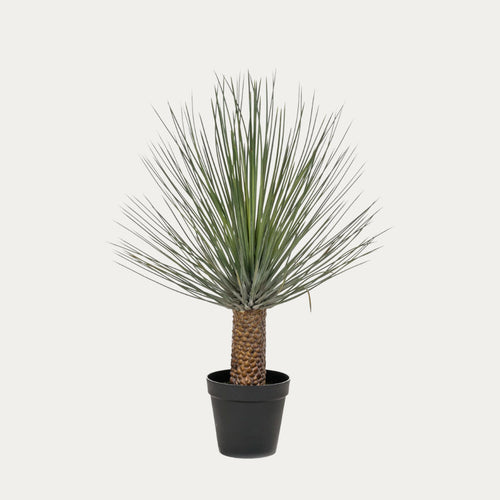 Árvore artificial Nolina 120cm folhas longas verdes