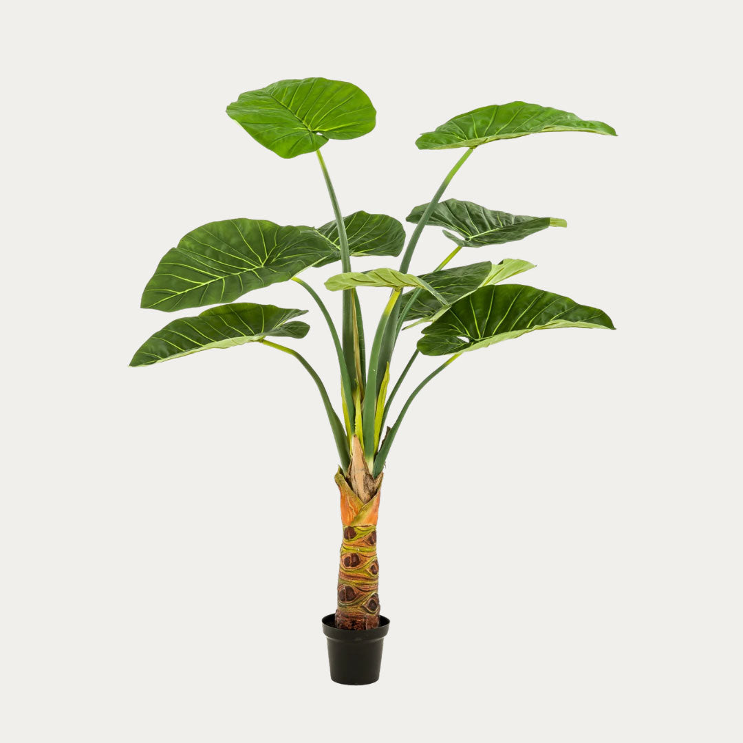 Árvore artificial Alocasia 160 cm com 9 folhas verdes