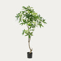 Árvore artificial Pachira 150cm tronco trançado verde