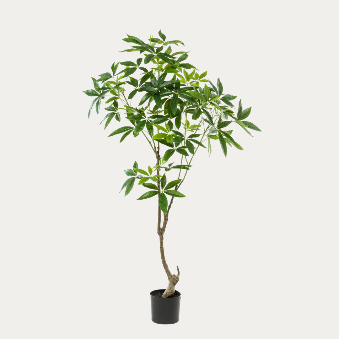 Árvore artificial Pachira 150cm tronco trançado verde