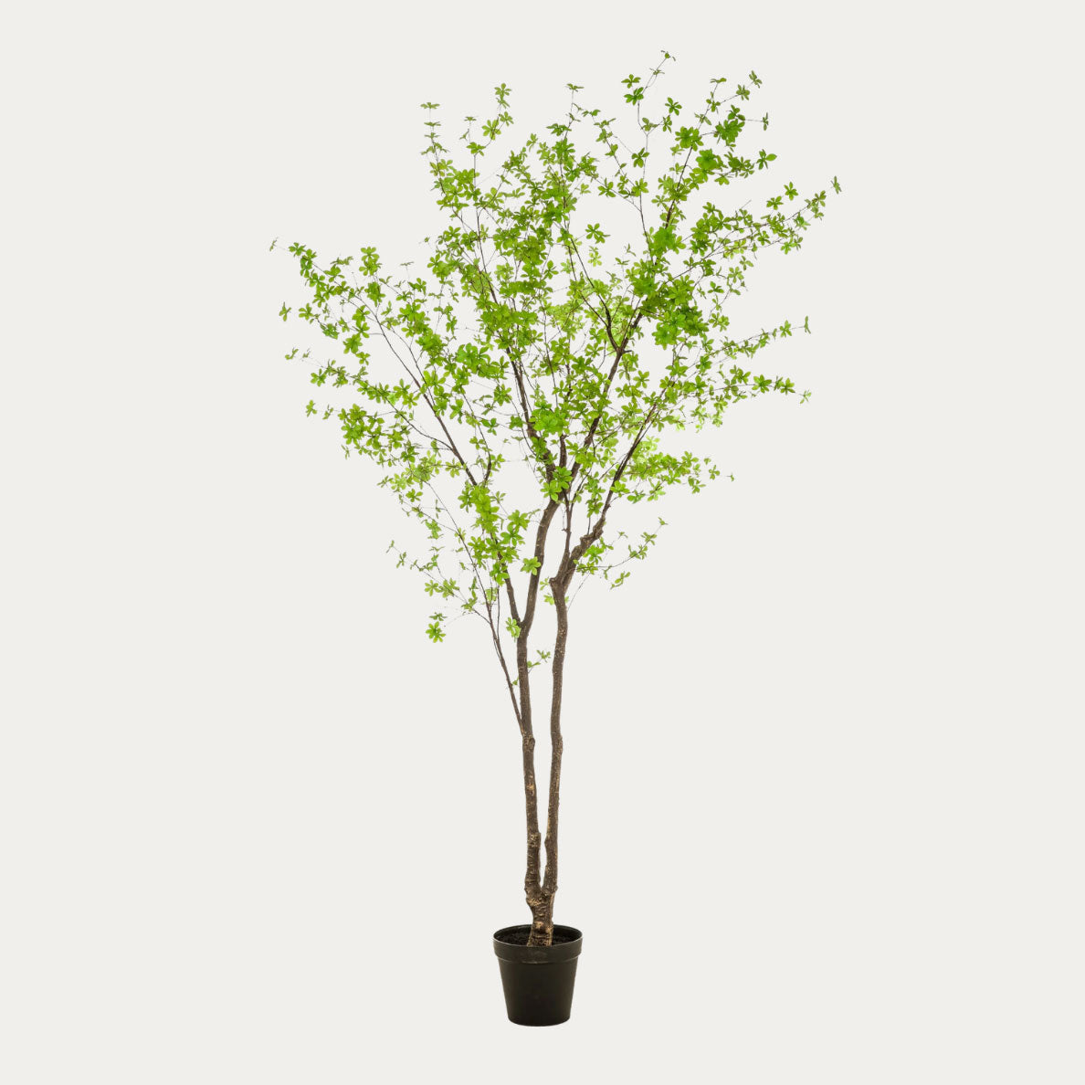 Árvore Artificial Tropaeolum verde