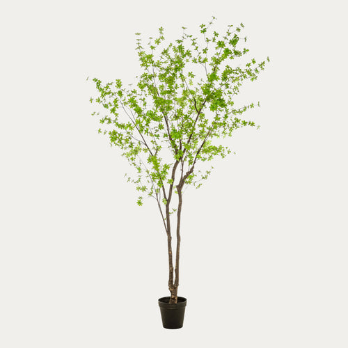 Árvore Artificial Tropaeolum verde