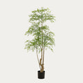 Árvore artificial Ruscus 180cm ramos verdes brilhantes