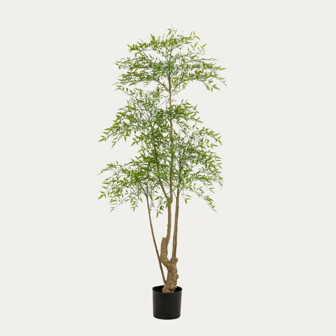 Árvore artificial Ruscus 180cm ramos verdes brilhantes