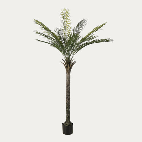 Árvore Artificial Palmeira Anti-UV