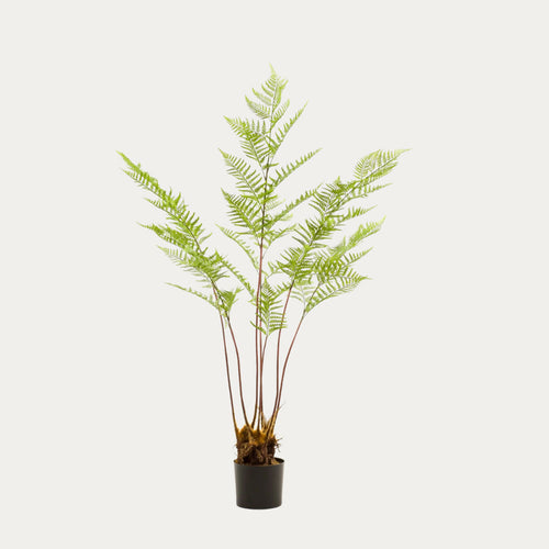Árvore artificial Pteridium Fern x7 150cm folhagem densa
