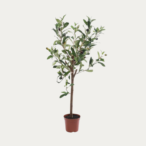 Oliveira artificial decorativa 65 cm em vaso