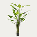 Árvore artificial Strelitzia Nicolai folhas largas verde-escuro