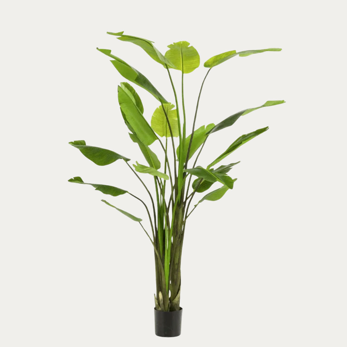 Árvore artificial Strelitzia Nicolai folhas largas verde-escuro