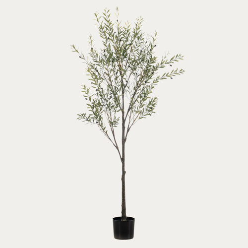 Oliveira artificial UV resistente 175 cm em vaso