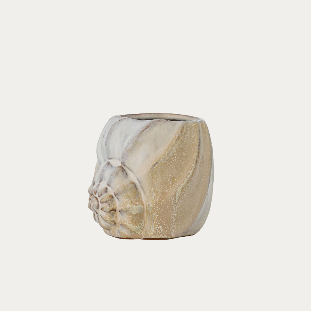 Taça Decorativa CORELIA Natureza
