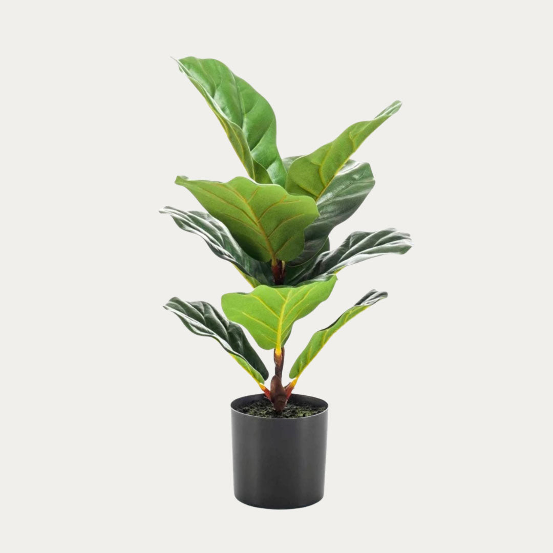 Planta artificial Ficus Lyrata 55 cm em vaso