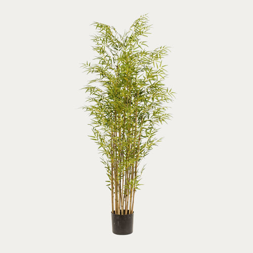 Árvore artificial Bambu Japonês 180 cm 12 caules