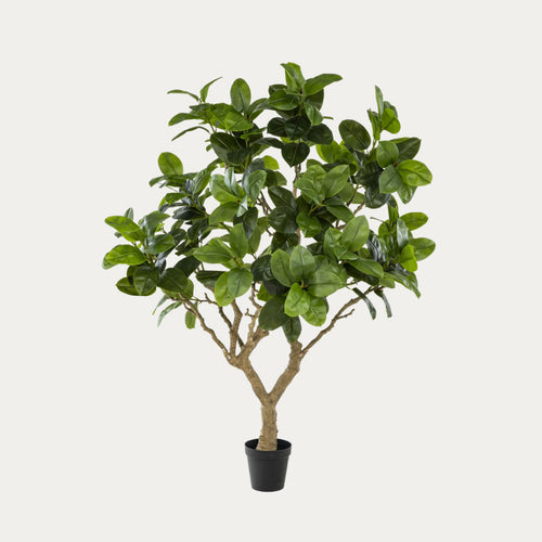 Árvore artificial Ficus Elastica Botanic 240cm folhagem verde
