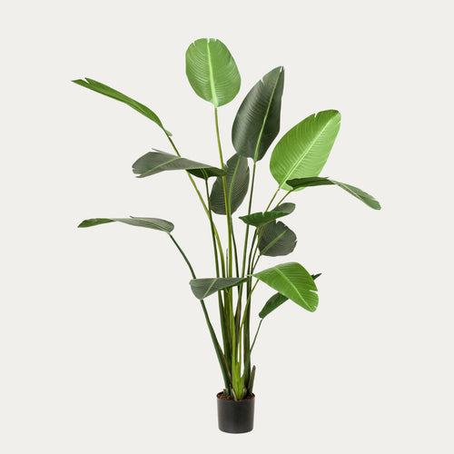 Árvore Artificial Strelitzia 230 cm verde