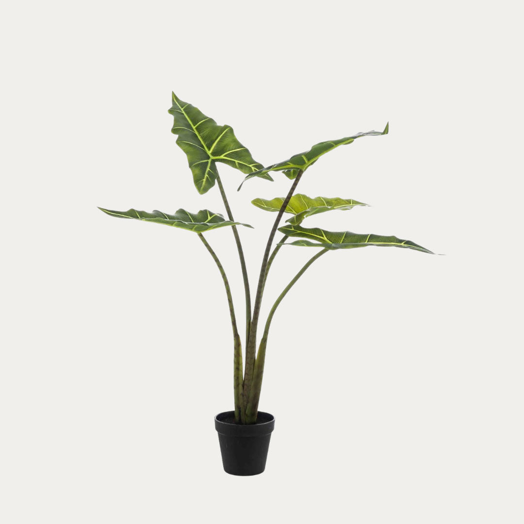 Árvore artificial Alocasia Frydek 80 cm com 5 folhas