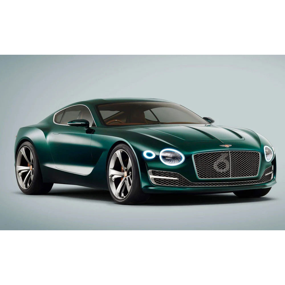 Livro Decorativo 100 Years of Bentley
