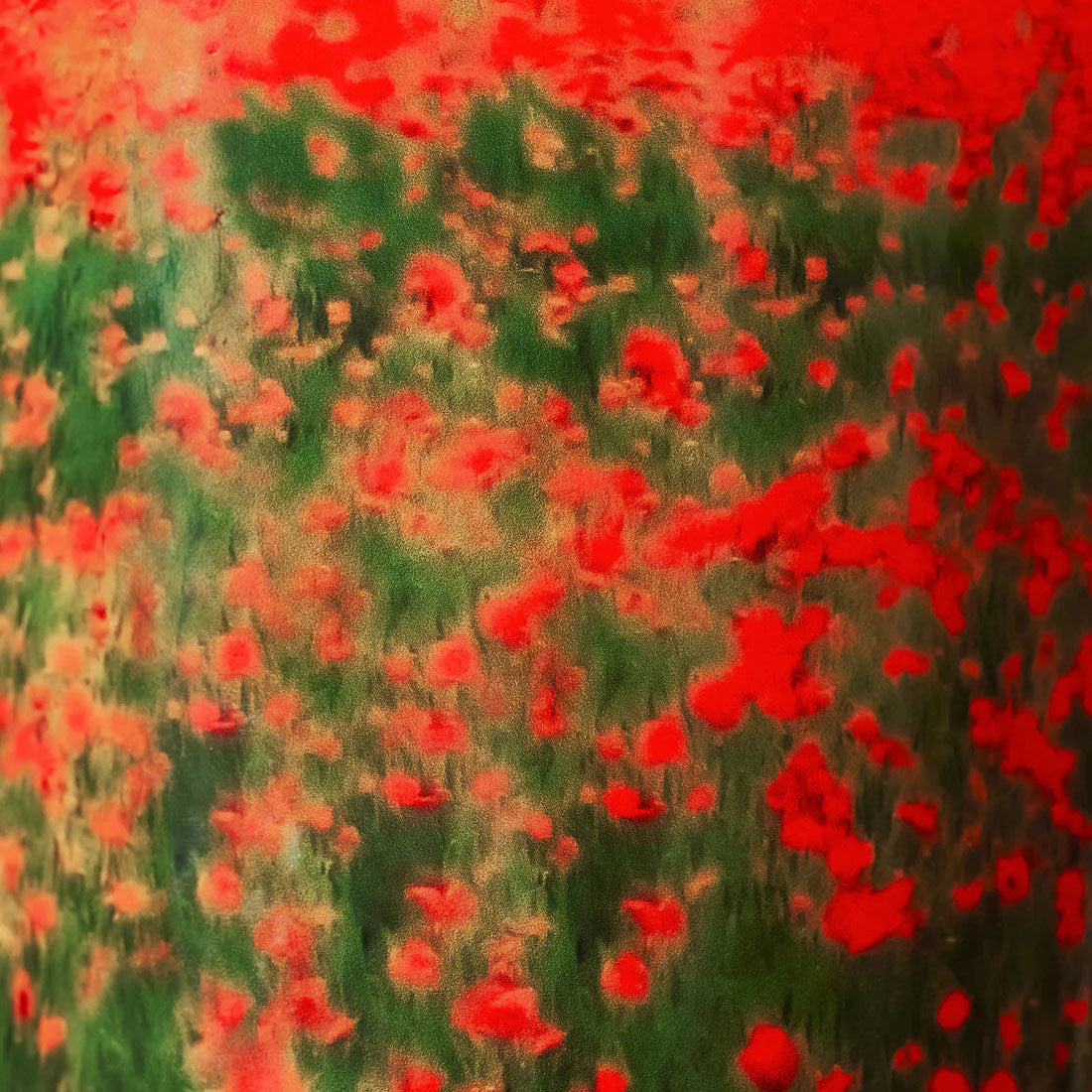 Vela Perfumada ARTY FLOWERS POPPIES | Casa Medeiros Interiores