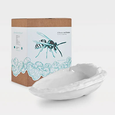 A Bruxa e os Frutos - Amêndoa grande porcelana